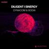 Sinergy - Dynacom (ARG)&Bodai