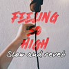 Feeling So High (Slow Reverb) - Crappy Dude&Akki Bhai