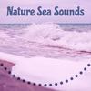 Ocean Waves - Echoes of Nature