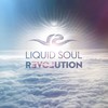 Revolution - Liquid Soul