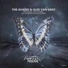 Sky Full Of Stars (Syntouch Remix) - The Avains&Alex Van Gray