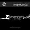 Lucidum Animae - Gee