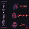 Different Breed(feat. To.Coast & Louis) (Explicit) - Tre Kavyo&To.Coast&Louis