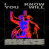 I Know You Will - J R&Ellipso