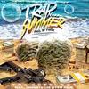 Trap Nigga Summer (feat. 5HunnitK-Lee & YBM Rojo) (Radio Edit) - Tre Gotti 424&5HunnitK-Lee&YBM Rojo