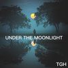 Under The Moonlights - isLeo_T