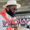 Wow (Yves Saint Laurent) - JBeatz&Masterbrain