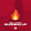 Burning Up - VIELI&June B&341