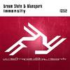 Immensity (Original Mix) - Dream State&Bluespark