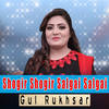 Shogir Shogir Salgai Salgai - Gul Rukhsar