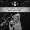What You Want (Original Mix|Explicit) - Tom Budin&Luciana