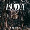 ASUNCIÓN - Kevin Courtois