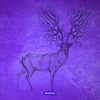 Shock Diamonds (Original Mix) - Schuerfes