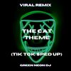 The Cat Theme (Tik Tok Sped Up) (Remix) - Green Neon DJ