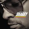 Boombastic (Album Version) - Shaggy