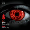 Don't Look Away - Shodan