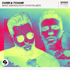 Make Amends (feat. Kyan Palmer) (Extended Mix) - Curbi&Tchami&Kyan Palmer