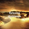 Unwind - Medicina Relaxante&Sov Gott&Sleep Ambience