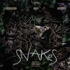 Snakes(feat. Kaso Cash & Nick P) (Explicit) - Crookd Ledda&Kaso Cash&Nick P