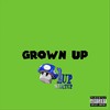 Grown Up (Explicit) - 1upwhatup