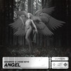 Angel - Vessbroz&Loose Keys