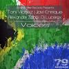 Voices Of Africa (Original Mix) - Alexander Zabbi&Toni Vilchez