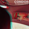 Absent Attraction - Condor