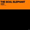 Sass (Original Mix) - The Soul Elephant