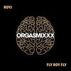 Fly Roy Fly - RoyJ