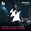 Never Gonna Love Me  - Dzeko&Sam James