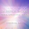 Reincarnating Soul (Original Mix) - DJ Serge Wood