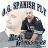 Ain't No Stoppin' - OG Spanish Fly&Mr. Shadow&Bad Boy of Clika One