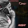 Moment In Time (feat. E.A.G. Steve & Young Swain) (Explicit) - T.Smallz ForLyfe&E.A.G. Steve&Young Swain