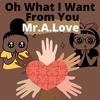 Oh What I Want From You (feat. Blanq Beatz) - Mr.A.Love&Blanq Beatz