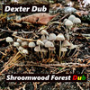 Shroomwood Forest Dub - Dexter Dub