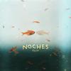Noches - Macias