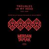 Troubles in My Head (XoXo (a.k.a. Daniele Petronelli & Worp) Remix - Radio Edit) - Merdan Taplak&Siam&Unknown Singer&Daniele Petronelli&Worp