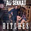 Bitches(feat. Ryan Whyte Maloney & Kylee Skye Lynn) (Explicit) - Ali Sekkat&Ryan Whyte Maloney&Kylee Skye Lynn