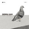 Piano (Original Mix) - Sierra Sam