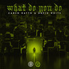 What Do You Do - Carlo Ratto&David White