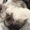 Top Shottah (Explicit) - Maggio