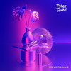 Neverland - Tyler Touché