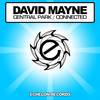 Central Park (Original Mix) - David Mayne