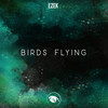 Birds Flying - Ezek