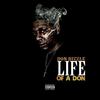 New Faces (Explicit) - Don Bizzle