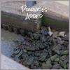 Efflorescence - Shann Ecem
