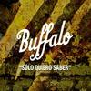 Sólo Quiero Saber - Buffalo&Damarys