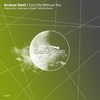 I Can't Fly Without You (Original Mix) - Andrew StetS