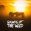 Sounds from a Prairie: Crickets and Cowbells - Rest&Relax Nature Sounds Artists