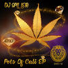 Scatty (Original Mix) - DJ Spiller